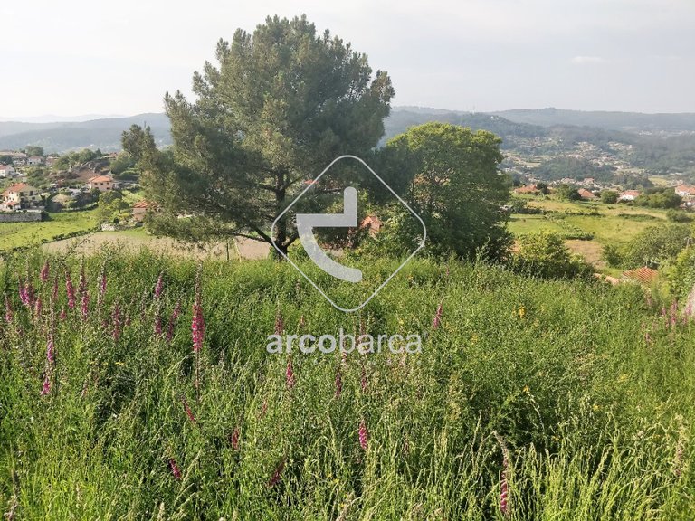 Plot para Sale en Paredes De Coura E Resende, Paredes De Coura 5
