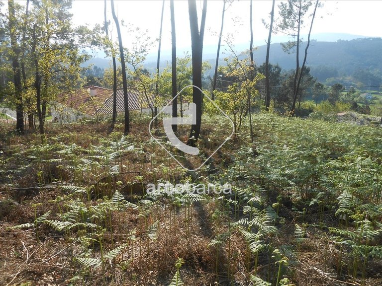 Plot para Sale en Rubiães, Paredes De Coura 8