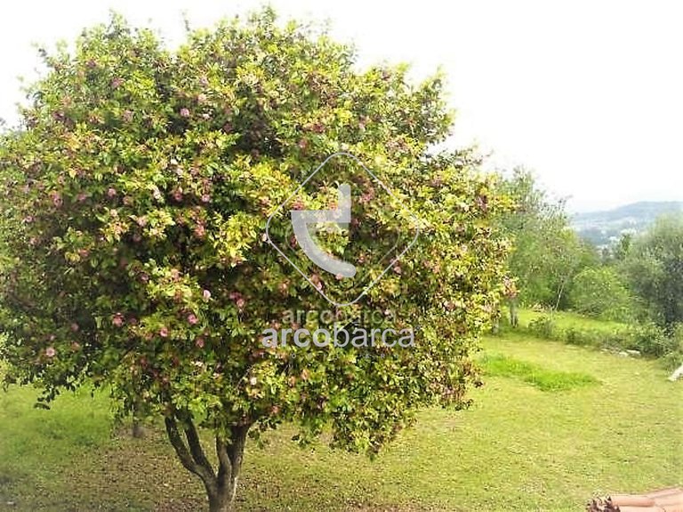 Villa para Sale en Aguiã, Arcos De Valdevez 16
