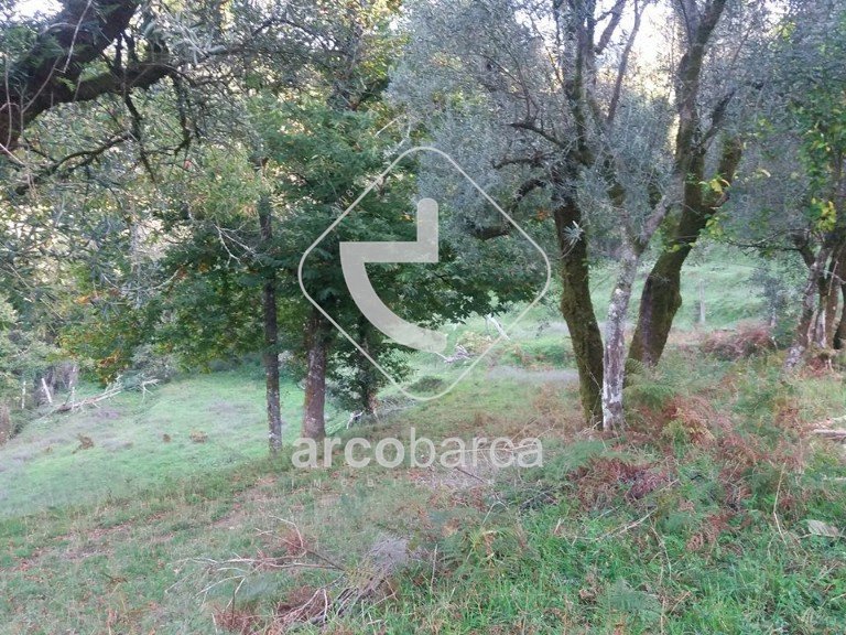 Plot para Sale en Lavradas, Ponte Da Barca 6