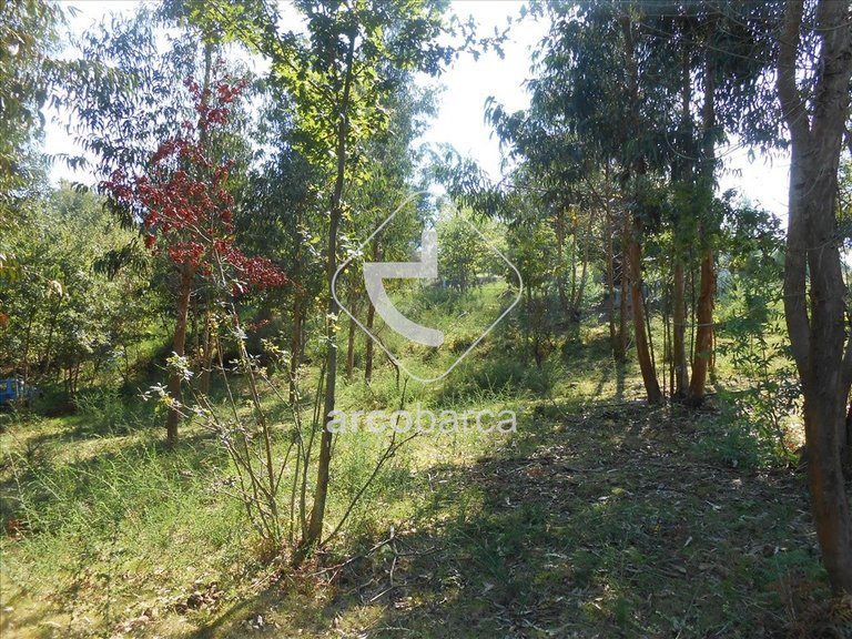 Plot para Sale en Souto E Tabaçô, Arcos De Valdevez 3