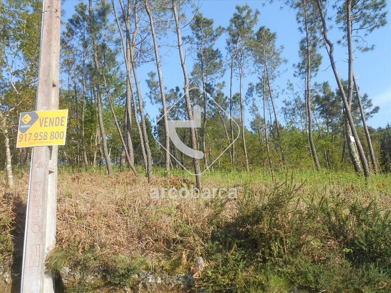 Plot para Sale en Rubiães, Paredes De Coura 11