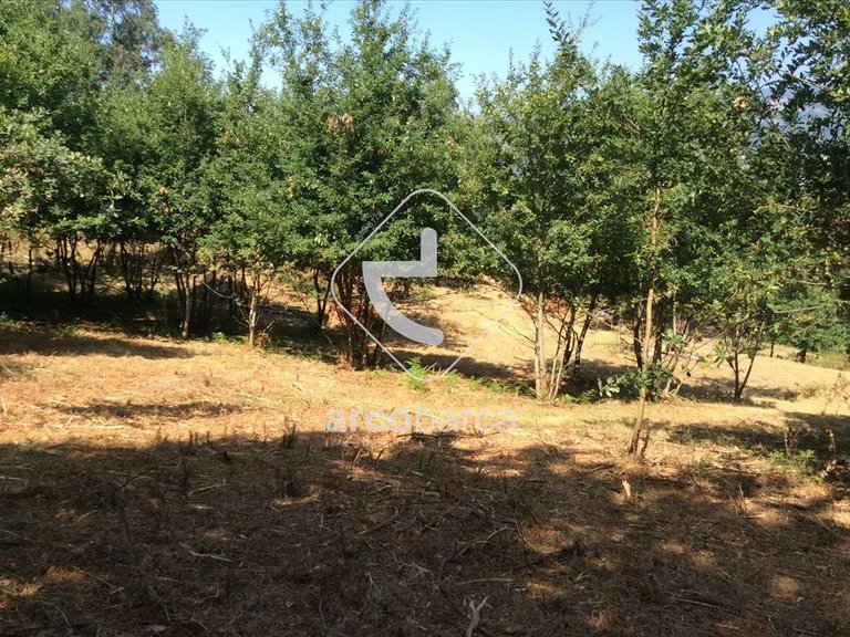 Plot para Sale en Souto E Tabaçô, Arcos De Valdevez 10