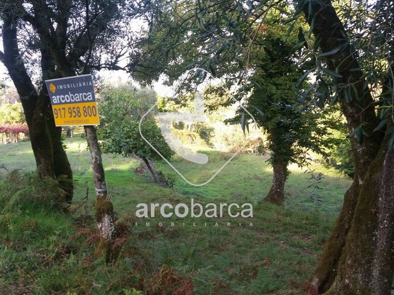 Plot para Sale en Lavradas, Ponte Da Barca 7