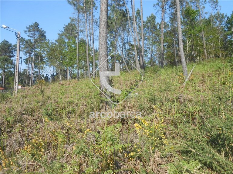 Plot para Sale en Rubiães, Paredes De Coura 4
