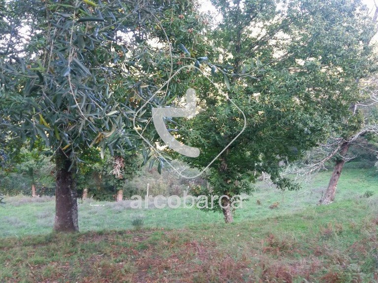 Plot para Sale en Lavradas, Ponte Da Barca 5