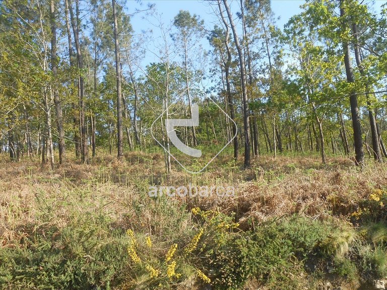 Plot para Sale en Rubiães, Paredes De Coura 3