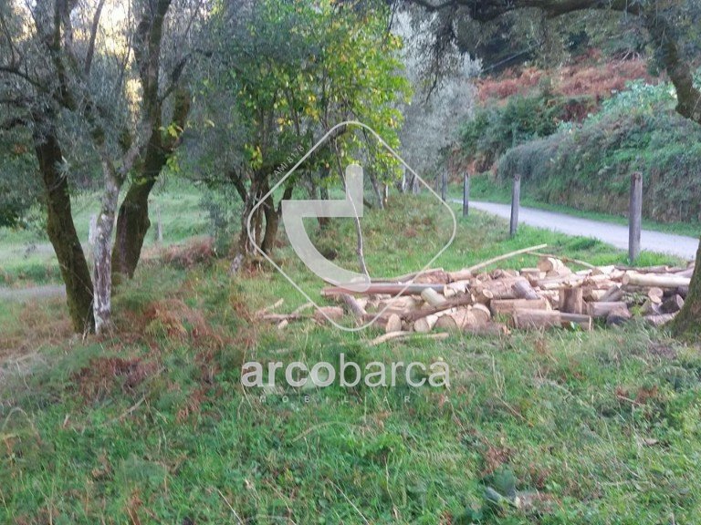 Plot para Sale en Lavradas, Ponte Da Barca 8