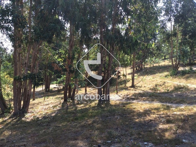 Plot para Sale en Souto E Tabaçô, Arcos De Valdevez 5