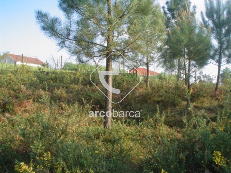 Plot para Sale en Monte Redondo, Arcos De Valdevez 10