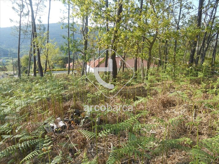 Plot para Sale en Rubiães, Paredes De Coura 9