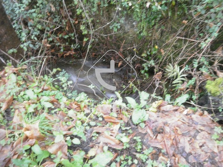 Plot para Sale en Lavradas, Ponte Da Barca 10