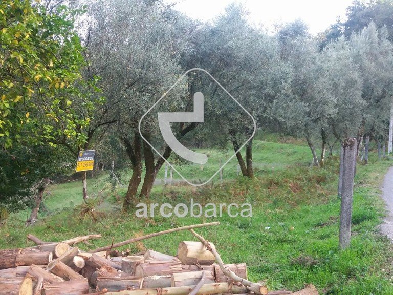 Plot para Sale en Lavradas, Ponte Da Barca 4