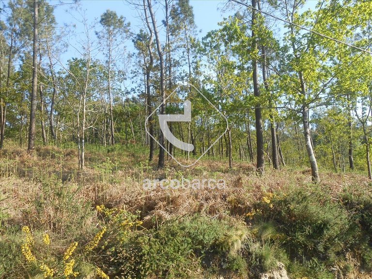 Plot para Sale en Rubiães, Paredes De Coura 1