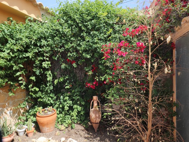 Country House for Sale in Inland Hondón De Las Nieves, Alicante 16