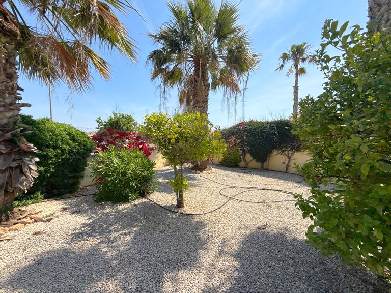 Villa for Sale in Cabo Roig, Alicante 7
