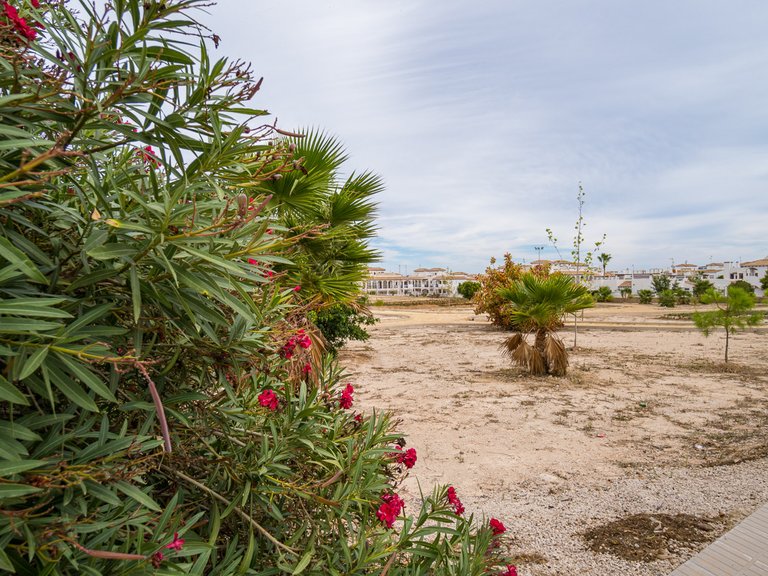 Town House for Sale in Punta Prima, Alicante 47