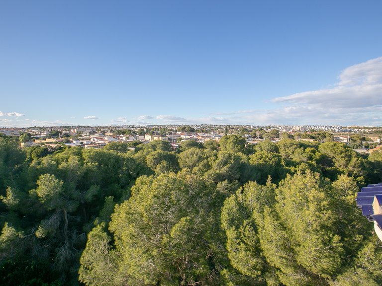 Apartment for Sale in Cabo Roig, Alicante 43