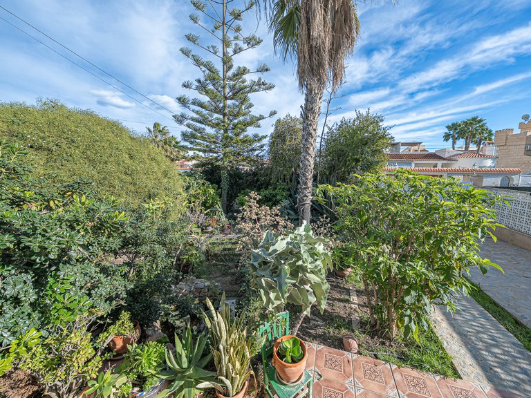 Villa for Sale in Torrevieja, Alicante 31