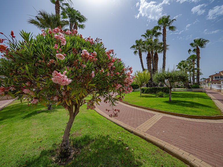 Apartment for Sale in Playa Flamenca, Alicante 31