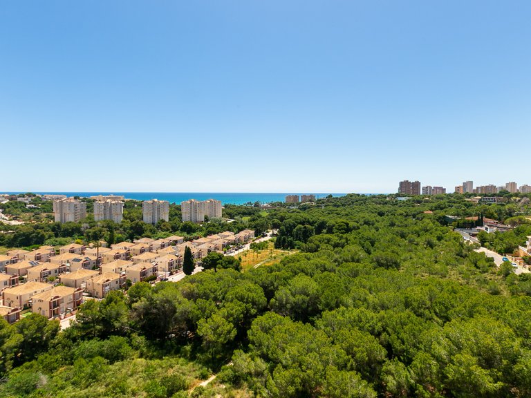 Apartment for Sale in Campoamor, Alicante 2