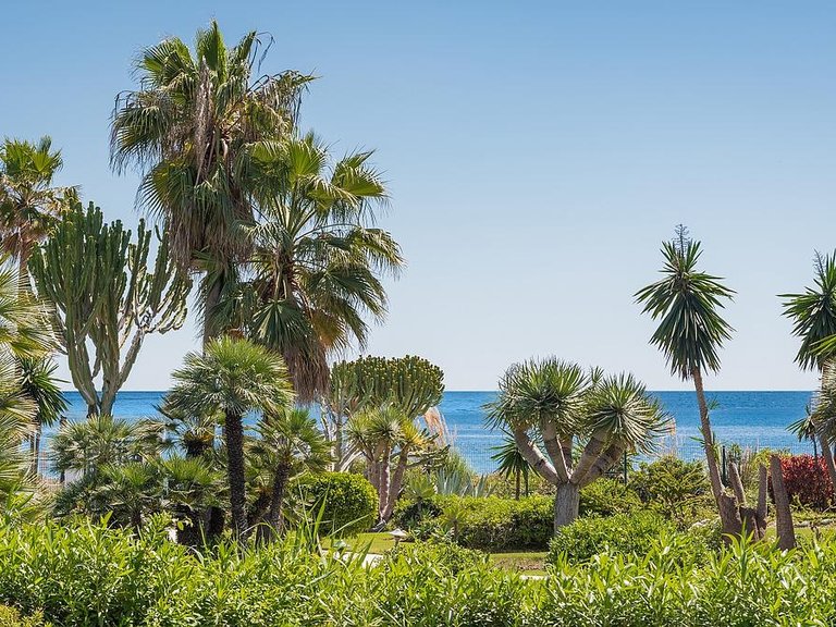 Apartment for Sale in Costa del Sol Estepona, Malaga 1