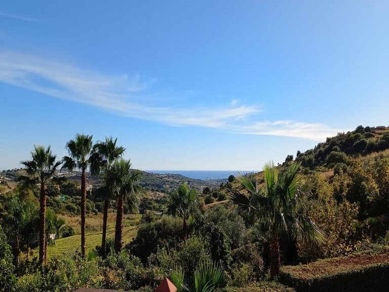 Country House for Sale in Costa del Sol Estepona, Malaga 4