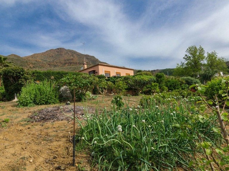 Country House for Sale in Costa del Sol Estepona, Malaga 24