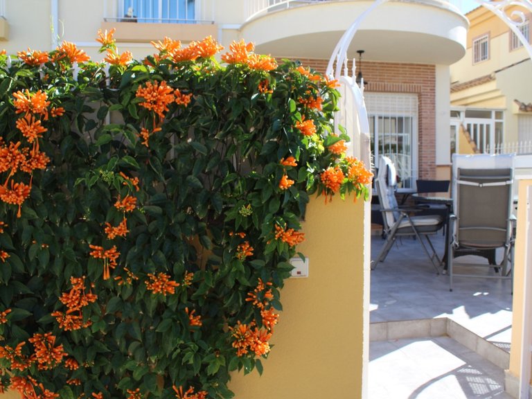 Town House for Sale in Villamartin, Alicante 24
