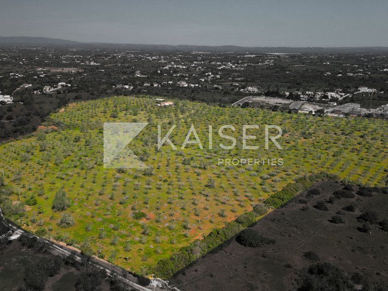 Plot for Sale in Albufeira, Albufeira 5