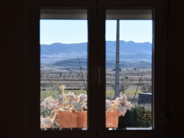 Villa for Sale in Pinoso, Alicante 23