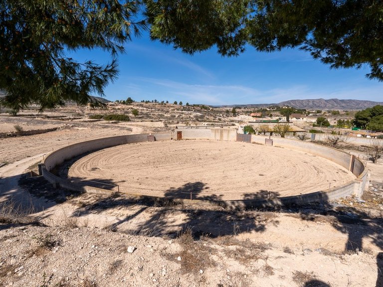 Villa for Sale in Monovar, Alicante 45