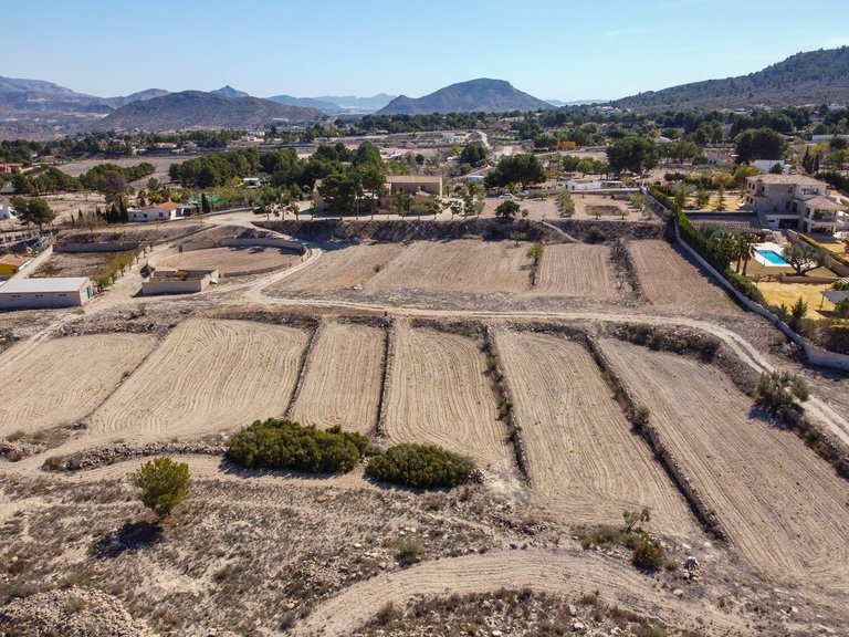 Villa for Sale in Monovar, Alicante 47