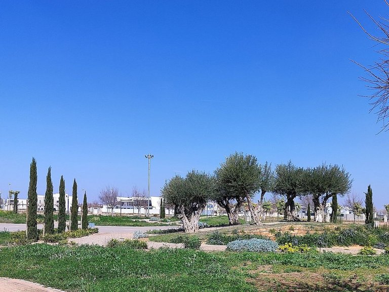 Apartment for Sale in Torre Pacheco, Murcia 11