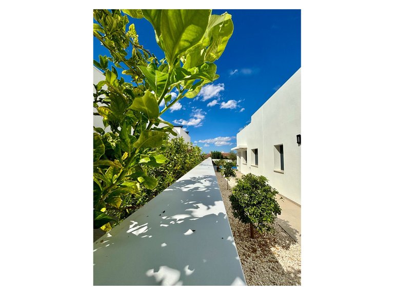 Villa for Sale in Benijofar, Alicante 18