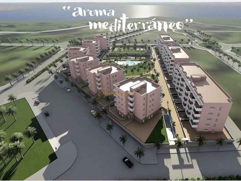 Apartment for Sale in Guardamar, Alicante 13