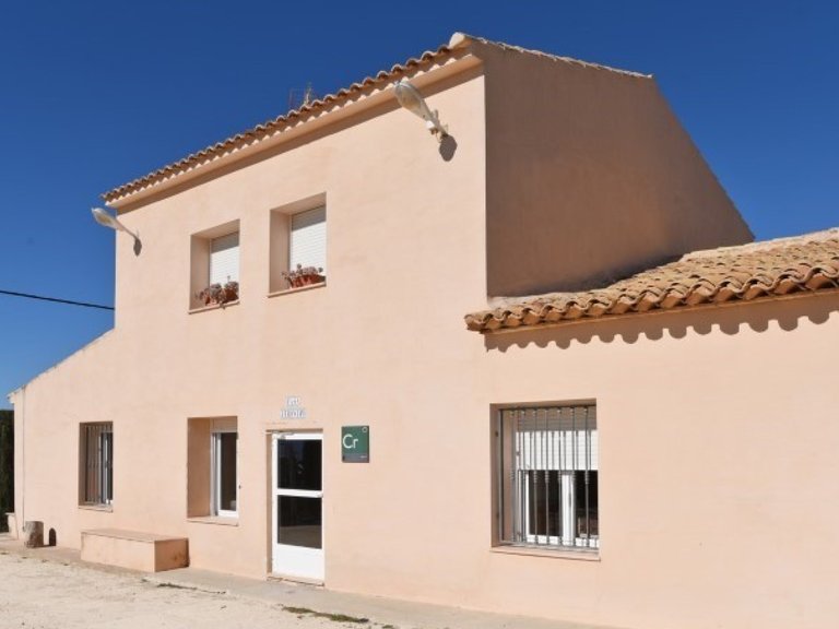 Villa for Sale in Pinoso, Alicante 22