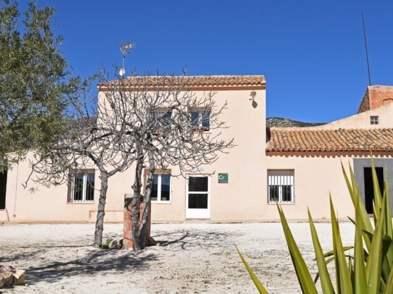 Villa for Sale in Pinoso, Alicante 1
