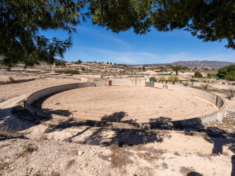 Villa for Sale in Monovar, Alicante 45