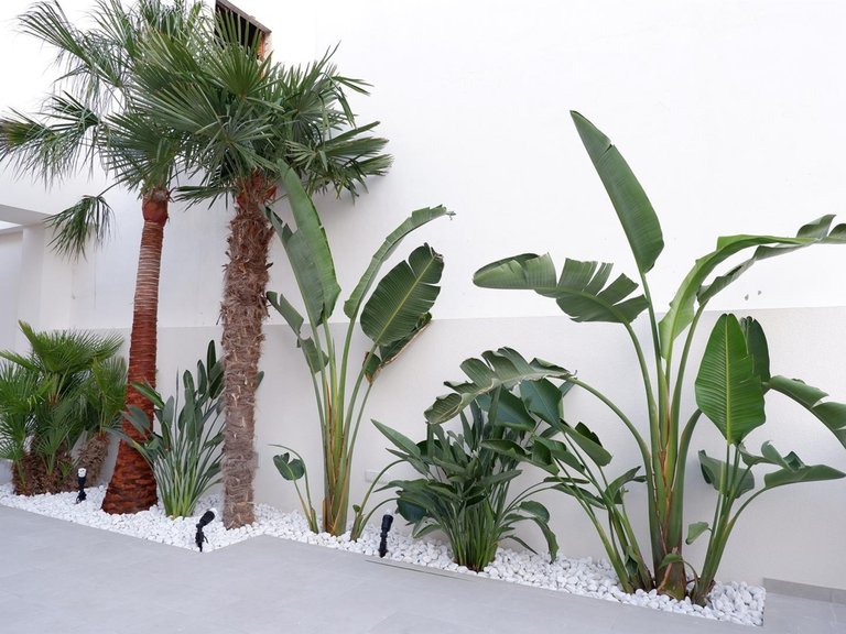 Villa for Sale in Benijofar, Alicante 3