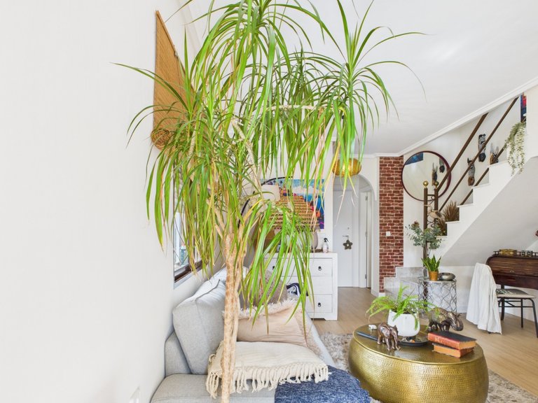 Town House for Sale in Los Alcázares, Murcia 3