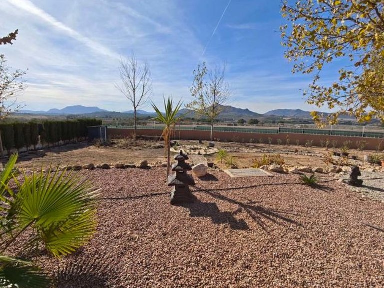 Villa for Sale in Sax, Alicante 25