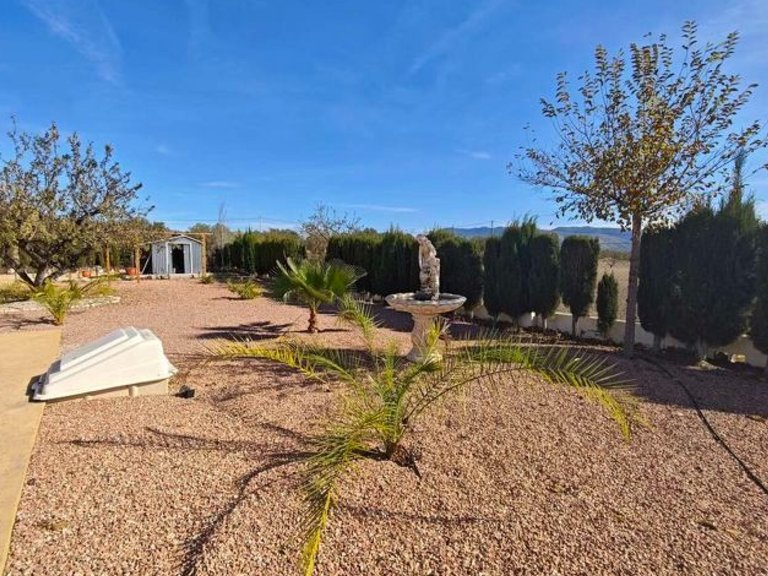 Villa for Sale in Sax, Alicante 30