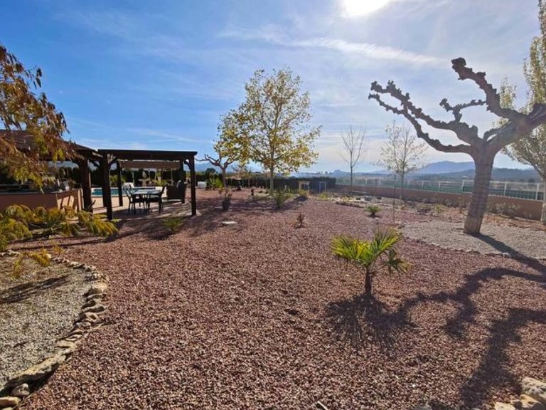 Villa for Sale in Sax, Alicante 31