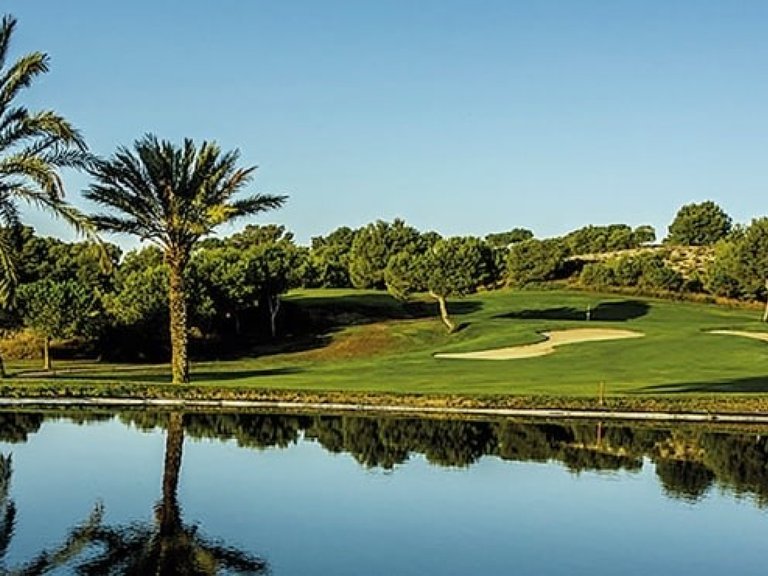 Town House for Sale in Alenda Golf, Alicante 20