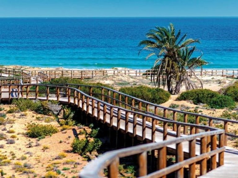 Town House for Sale in Alenda Golf, Alicante 23