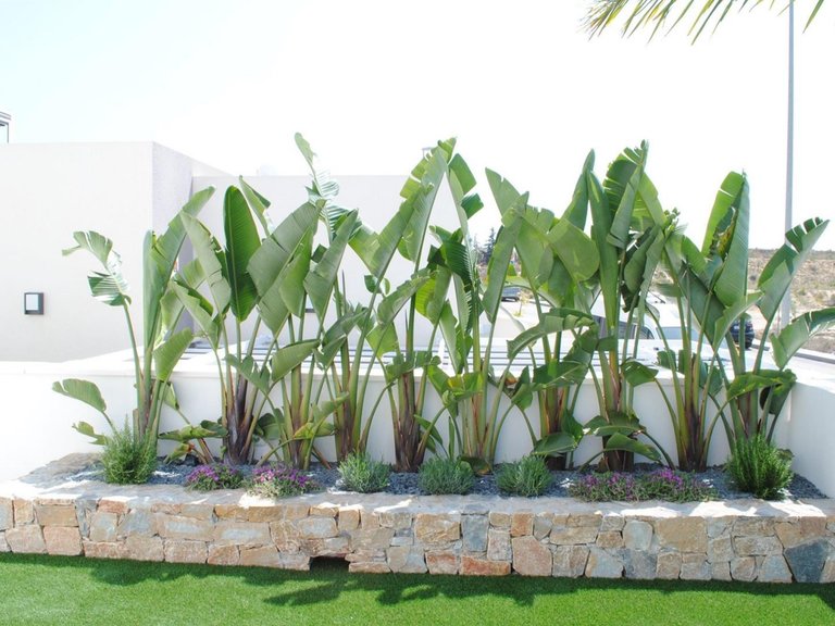 Villa for Sale in Benijofar, Alicante 8