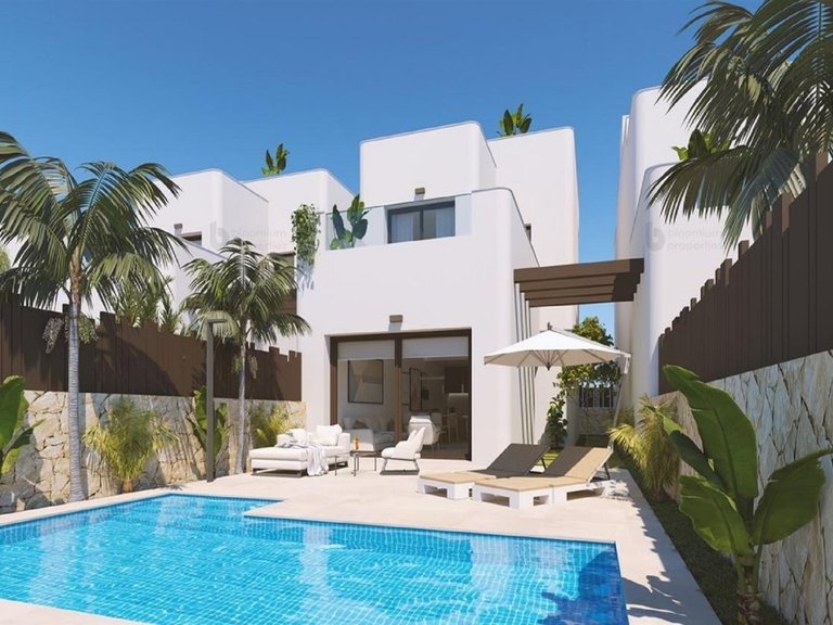Villa for Sale in Mil Palmeras, Alicante 1