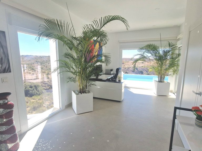 Villa for Sale in La Marina, Alicante 22