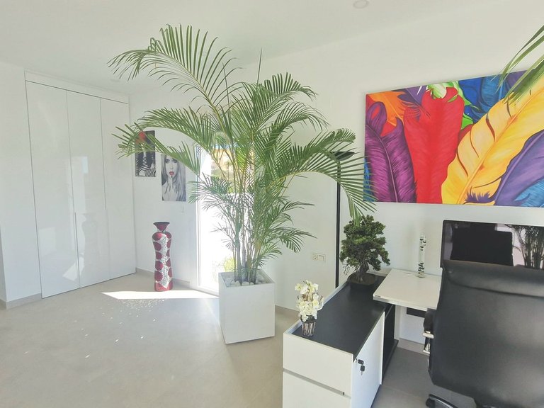 Villa for Sale in La Marina, Alicante 21
